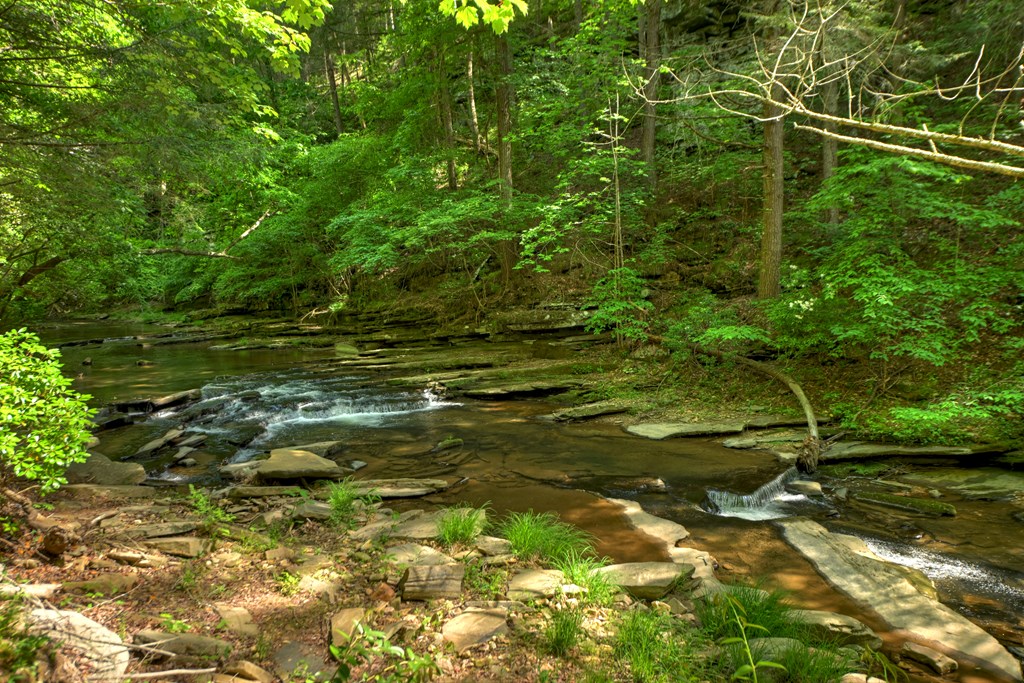 Lot 106 Mountain Creek Hollow Drive
