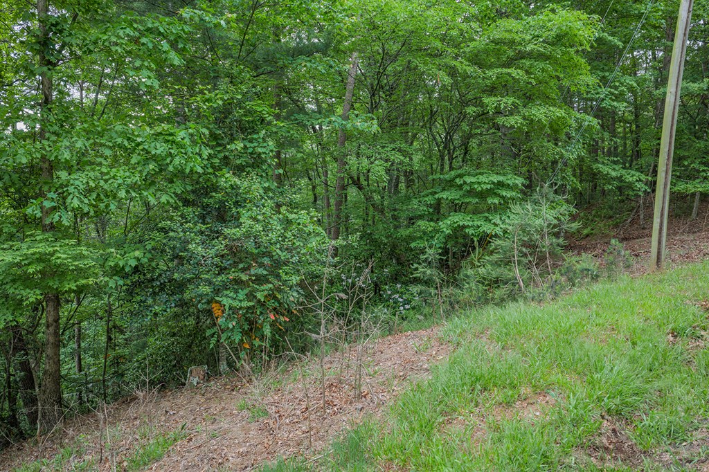 Lot 171 Shenendoa Drive