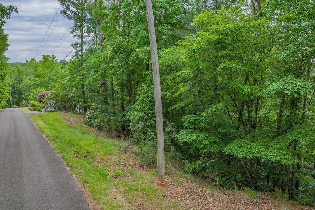 Lot 171 Shenendoa Drive