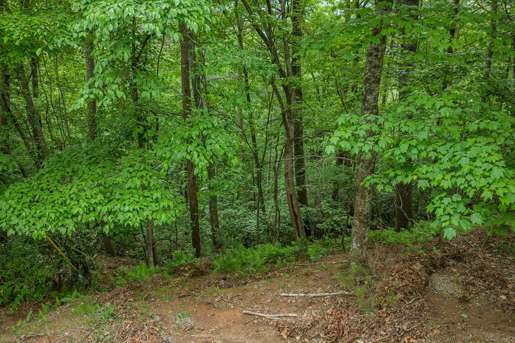 Lot 171 Shenendoa Drive