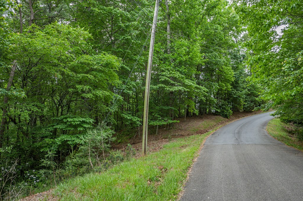 Lot 171 Shenendoa Drive