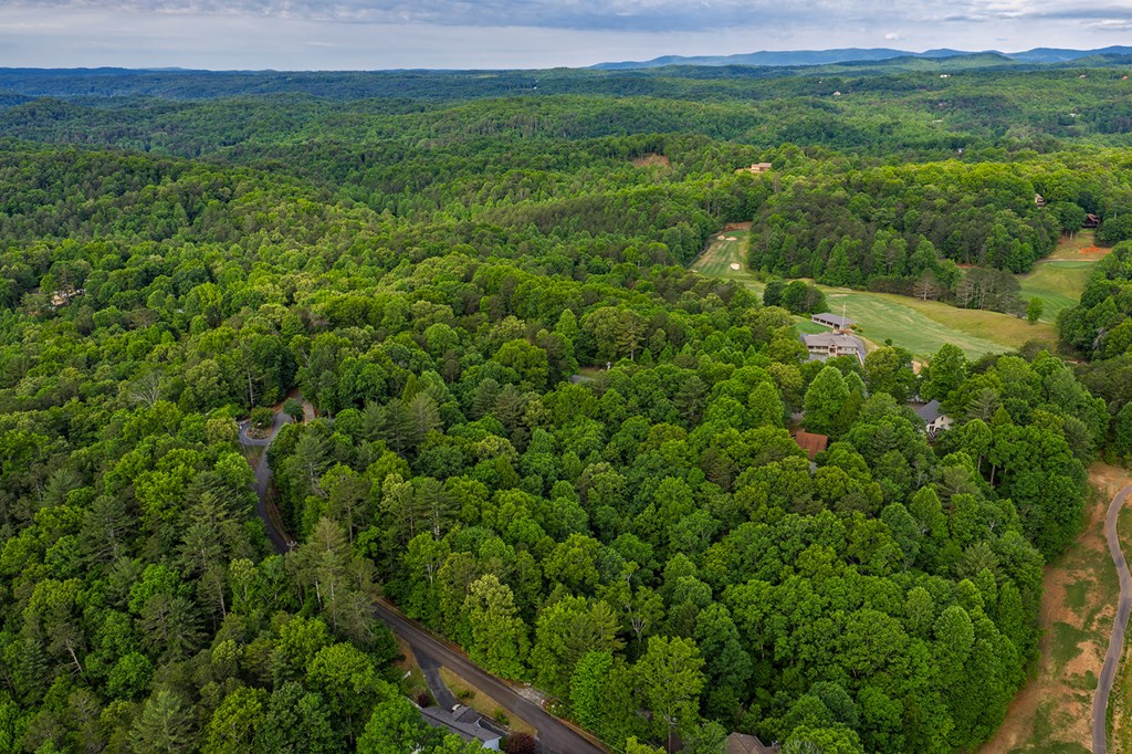 Lot 171 Shenendoa Drive