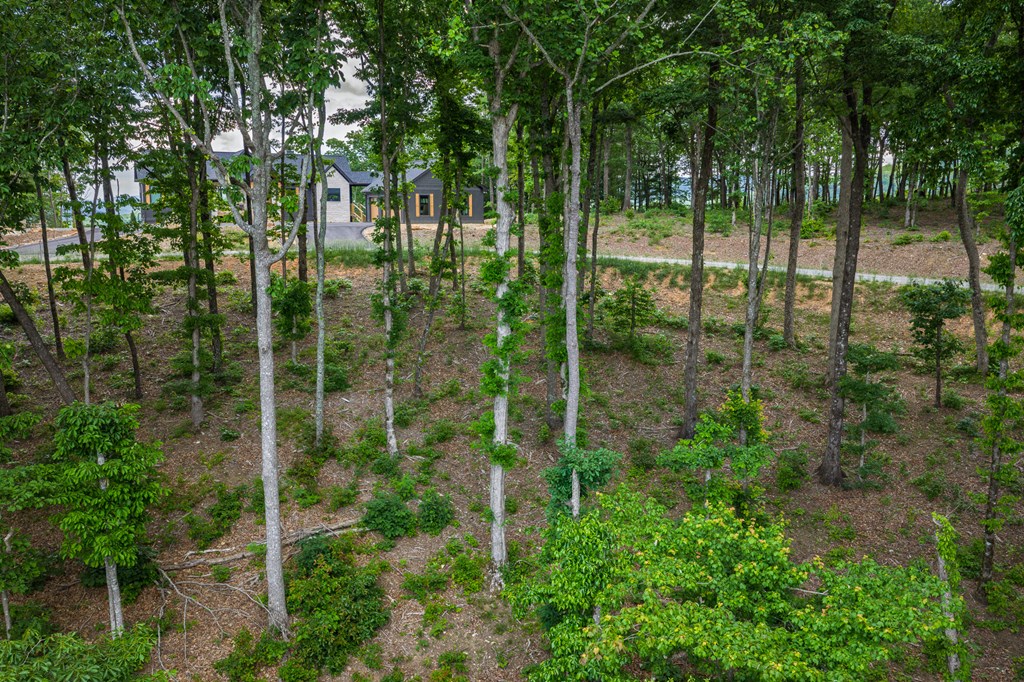 Lot 411 Calloway Mountain Road