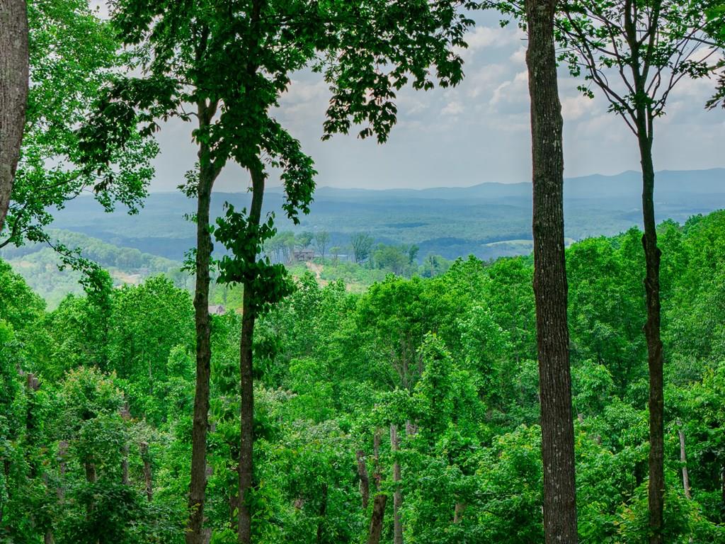Lot 411 Calloway Mountain Road