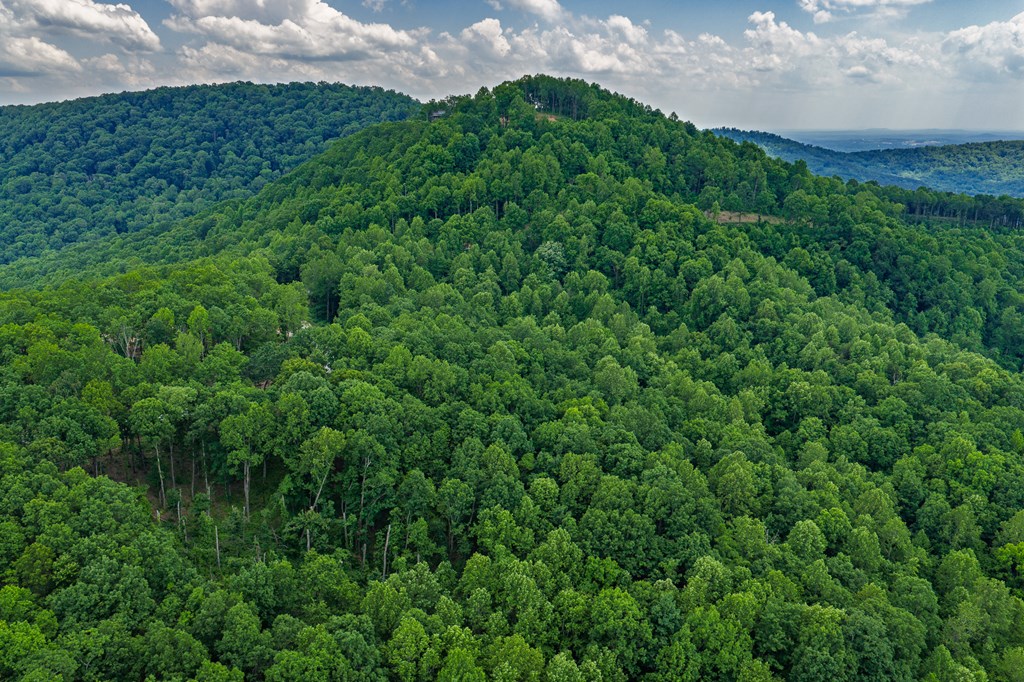 Lot 411 Calloway Mountain Road