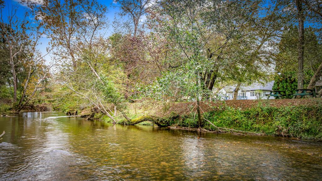 450 Cartecay River Run