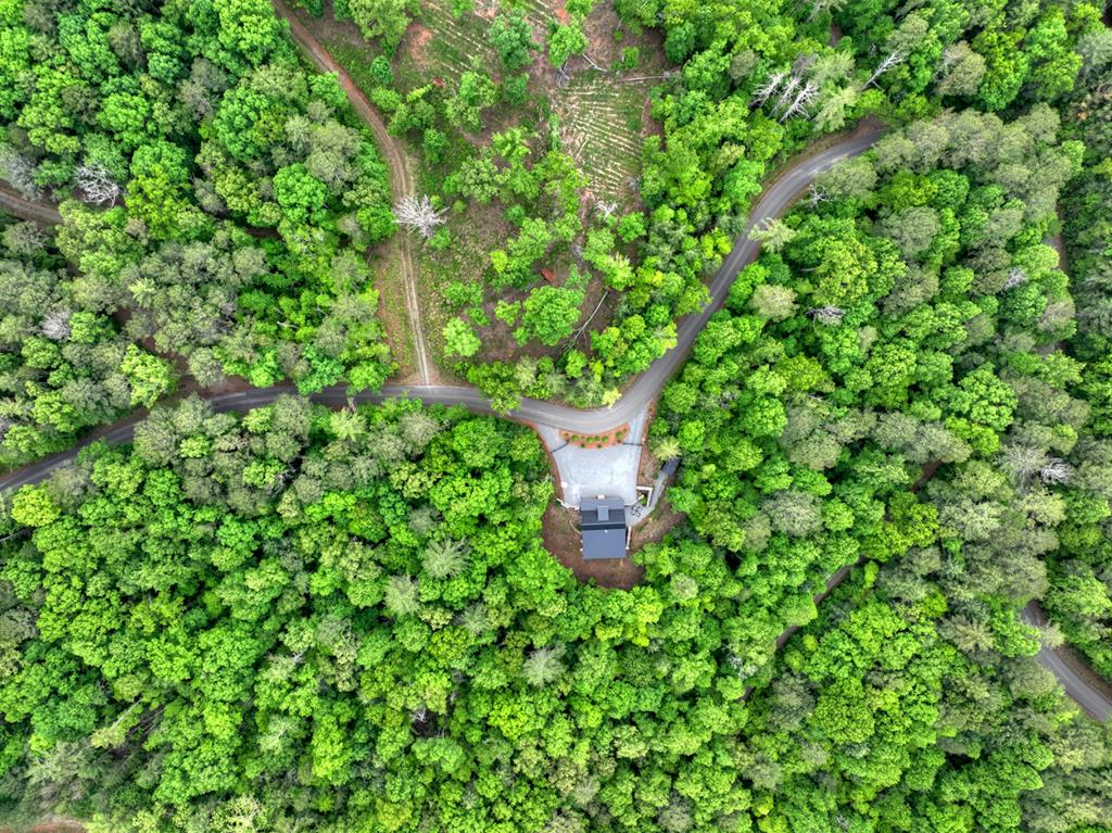 819 Hap Holt Road