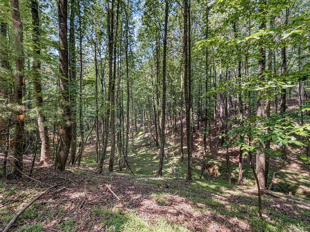 Lot 26 Estates Drive