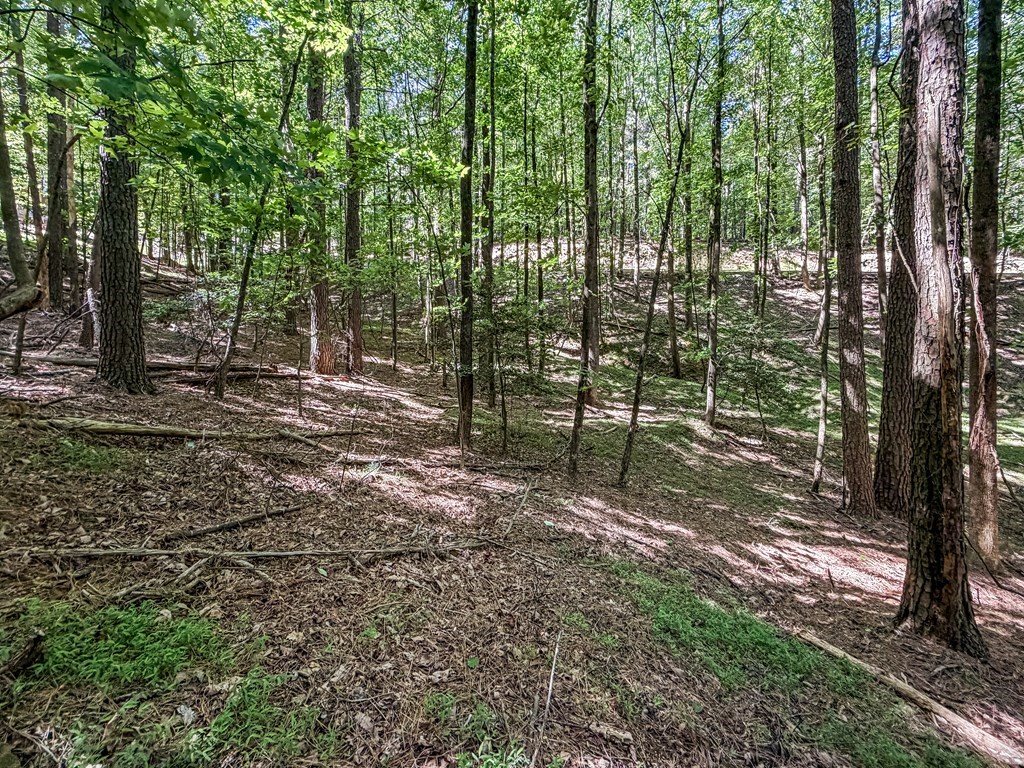 Lot 26 Estates Drive