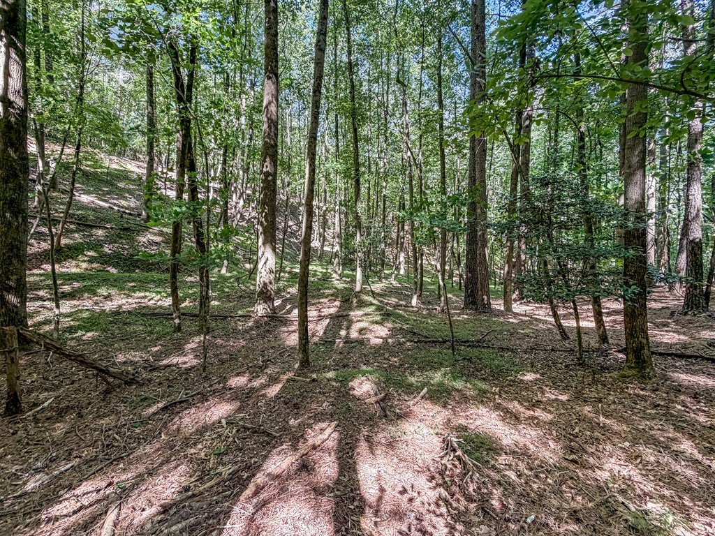 Lot 26 Estates Drive