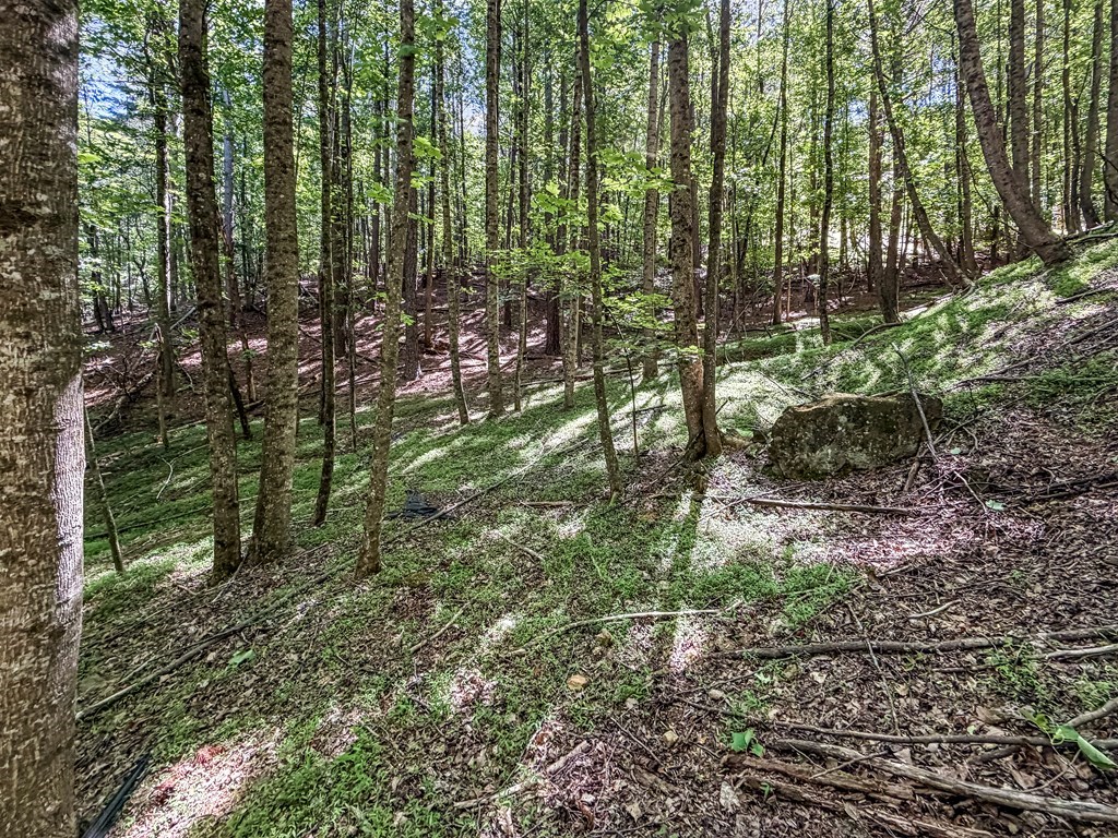 Lot 26 Estates Drive