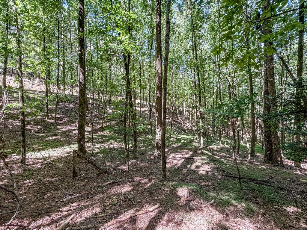 Lot 26 Estates Drive