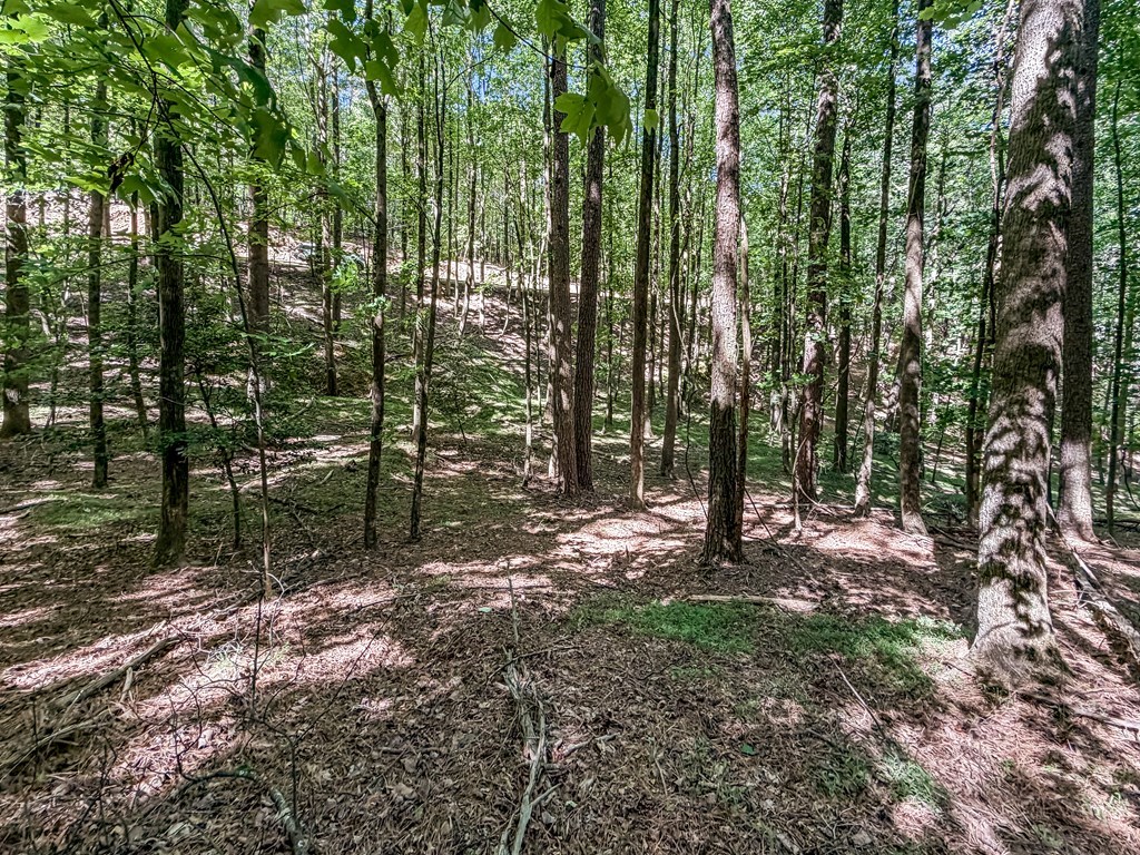 Lot 26 Estates Drive