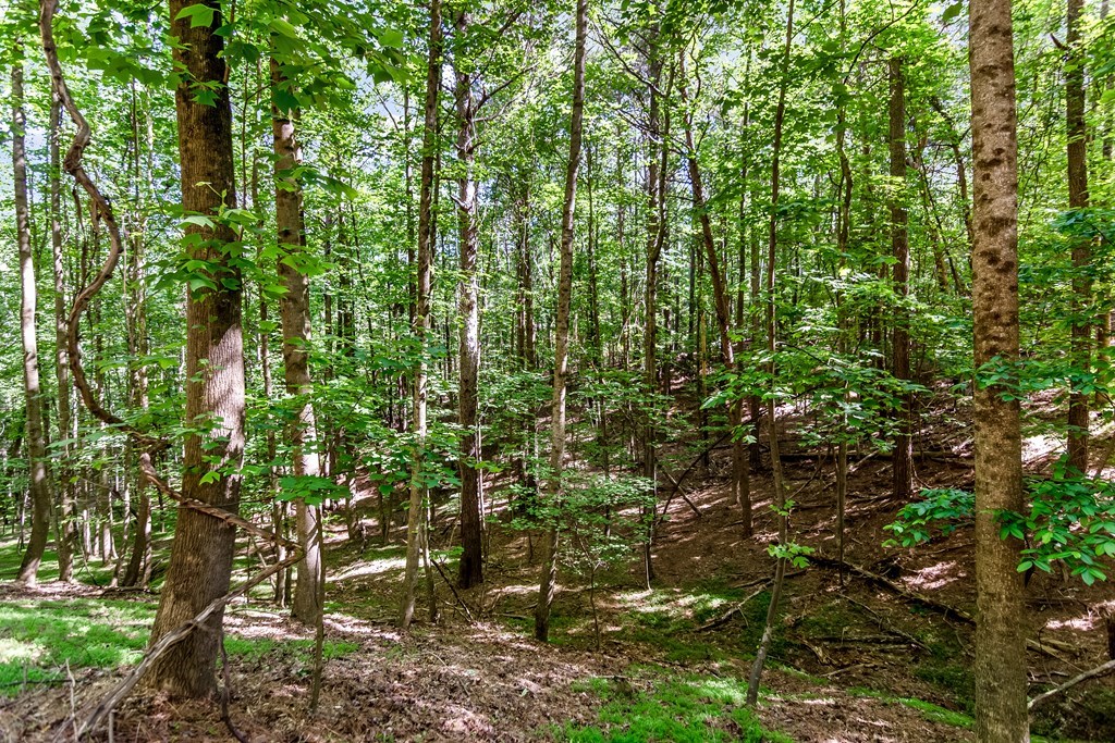 Lot 26 Estates Drive