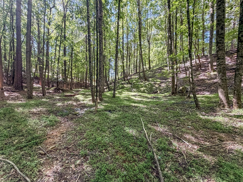 Lot 26 Estates Drive