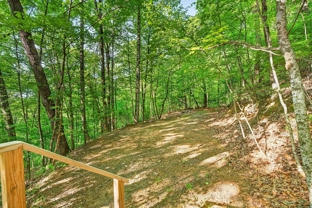 93 Martin Crossing