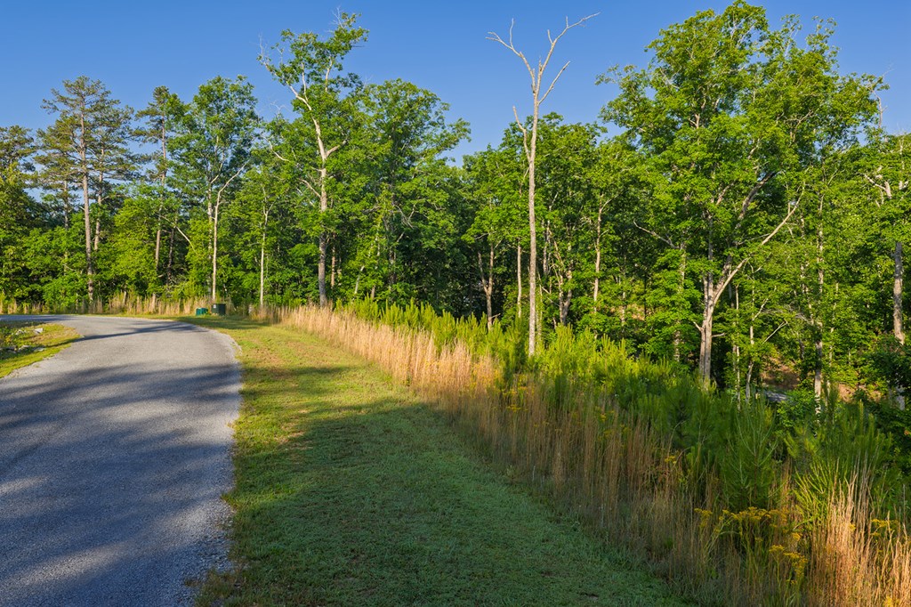 Lot 179 Canoe Point