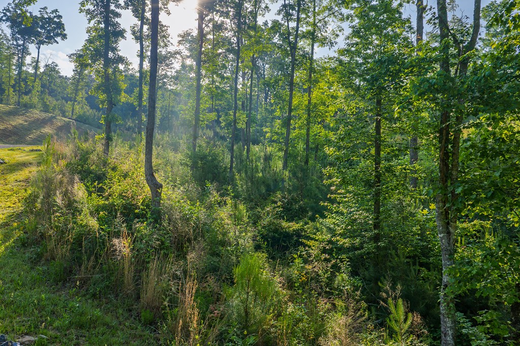 Lot 179 Canoe Point