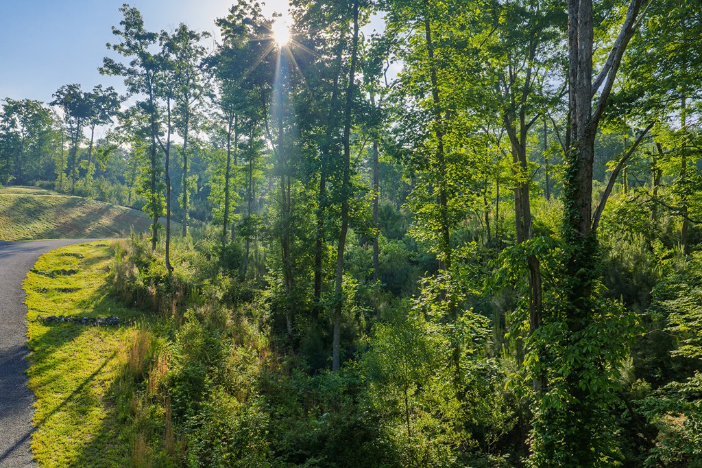 Lot 179 Canoe Point