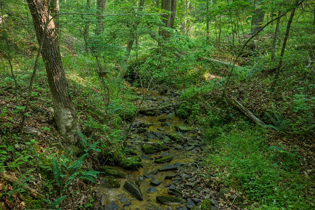 Lot 179 Canoe Point
