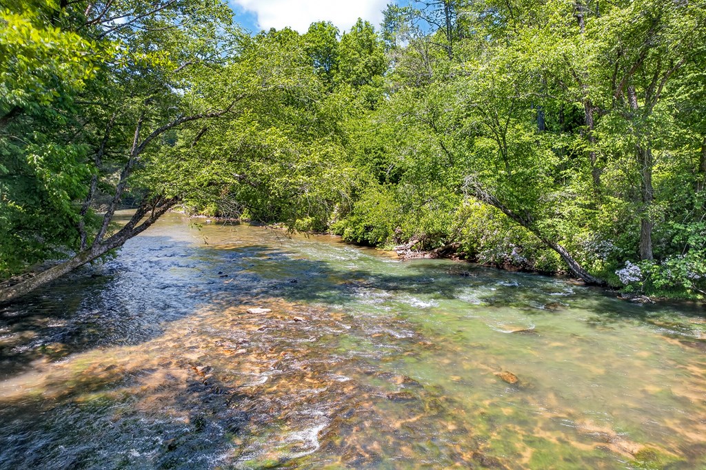 184 Grey Fox Trail