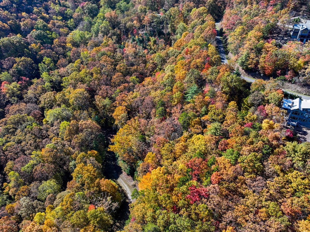 Lot 46 Utana Bluffs Trail