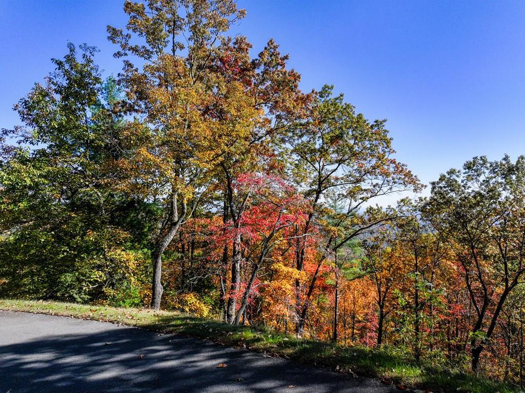 Lot 46 Utana Bluffs Trail