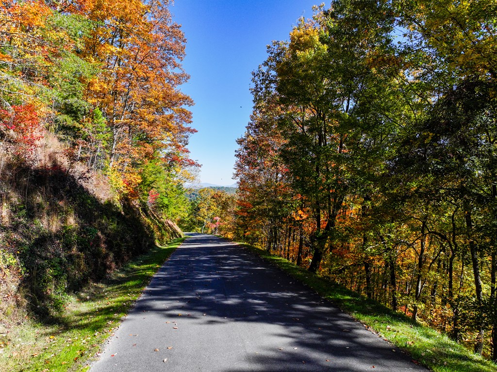 Lot 46 Utana Bluffs Trail
