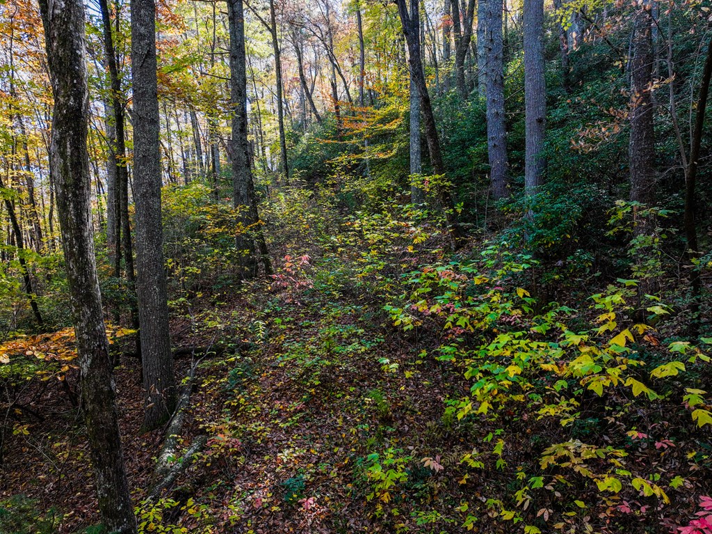 Lot 46 Utana Bluffs Trail