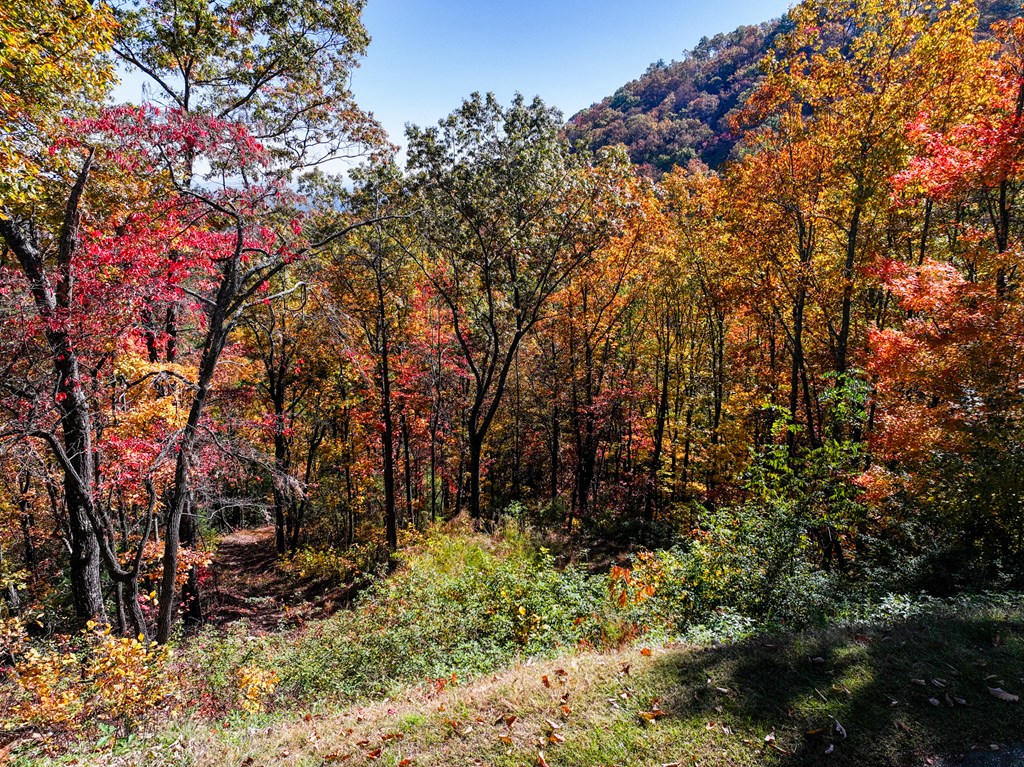 Lot 46 Utana Bluffs Trail