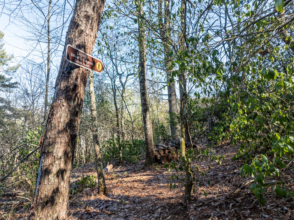 517 Ridge Road