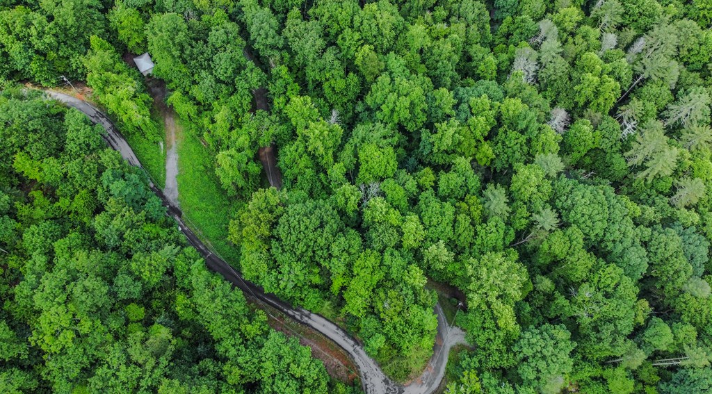 5.58 Gobbler Knob Drive