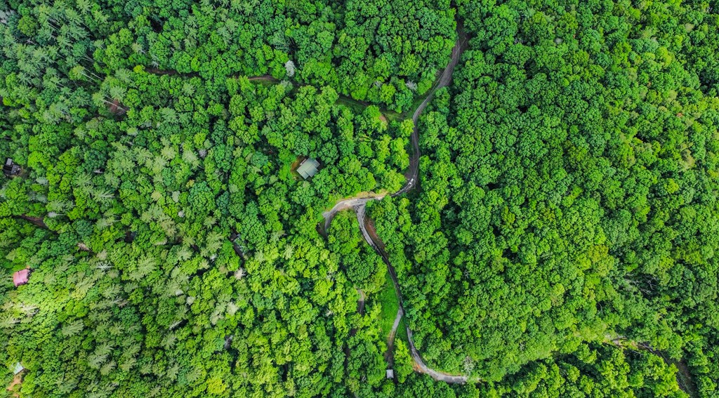 5.58 Gobbler Knob Drive