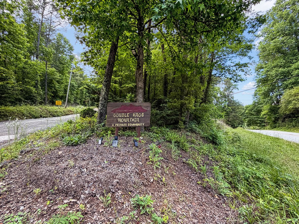 5.58 Gobbler Knob Drive