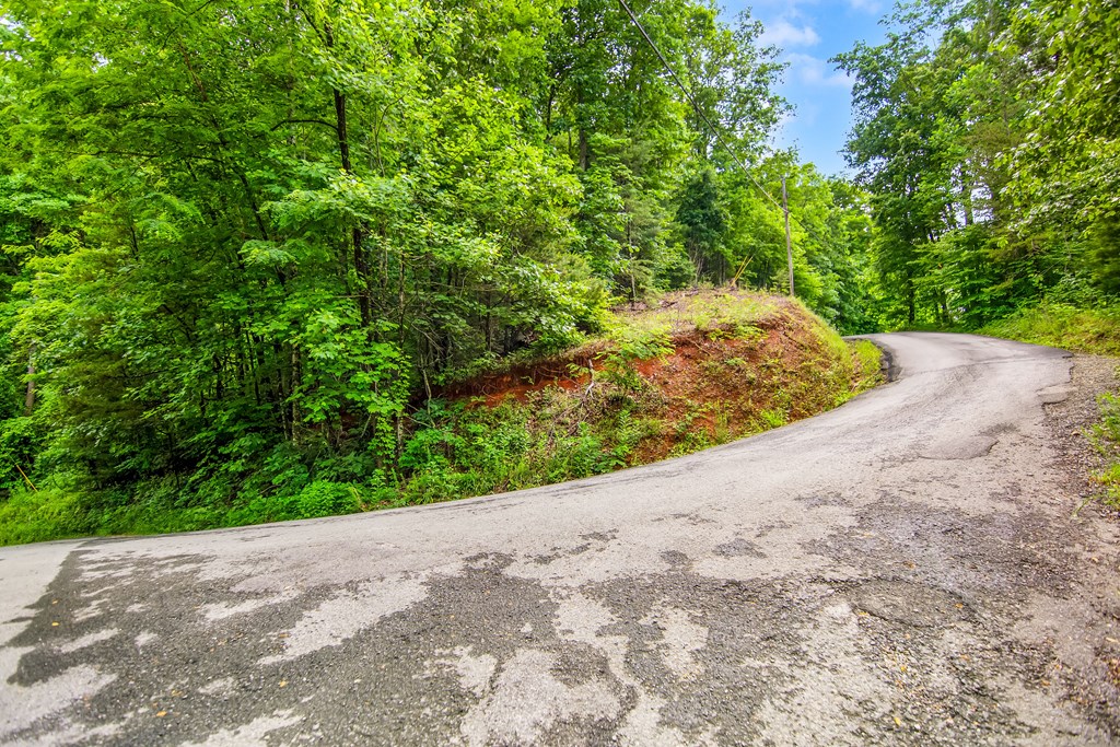 5.58 Gobbler Knob Drive