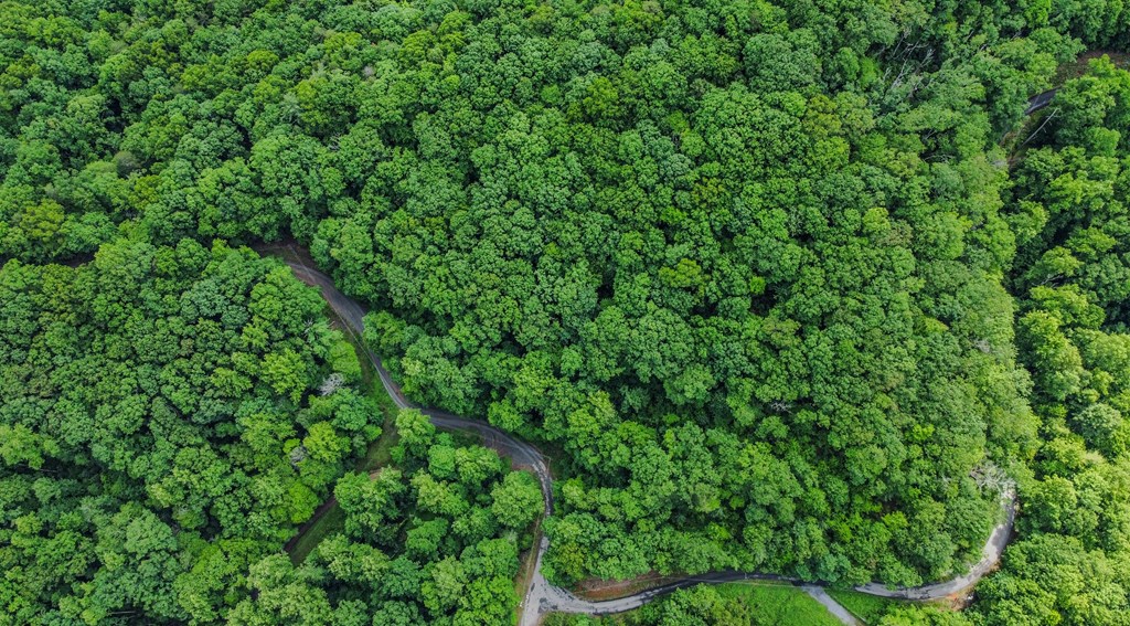 5.58 Gobbler Knob Drive