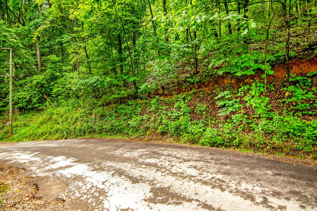 5.58 Gobbler Knob Drive