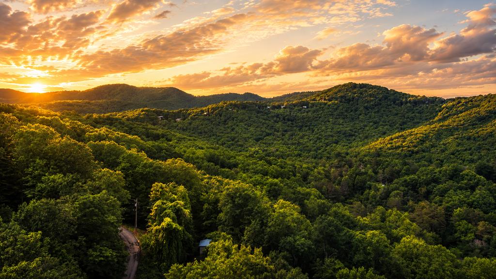 5.58 Gobbler Knob Drive