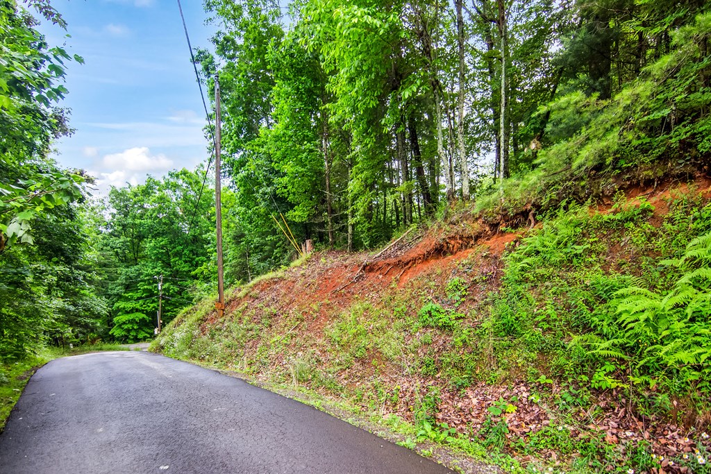 5.58 Gobbler Knob Drive