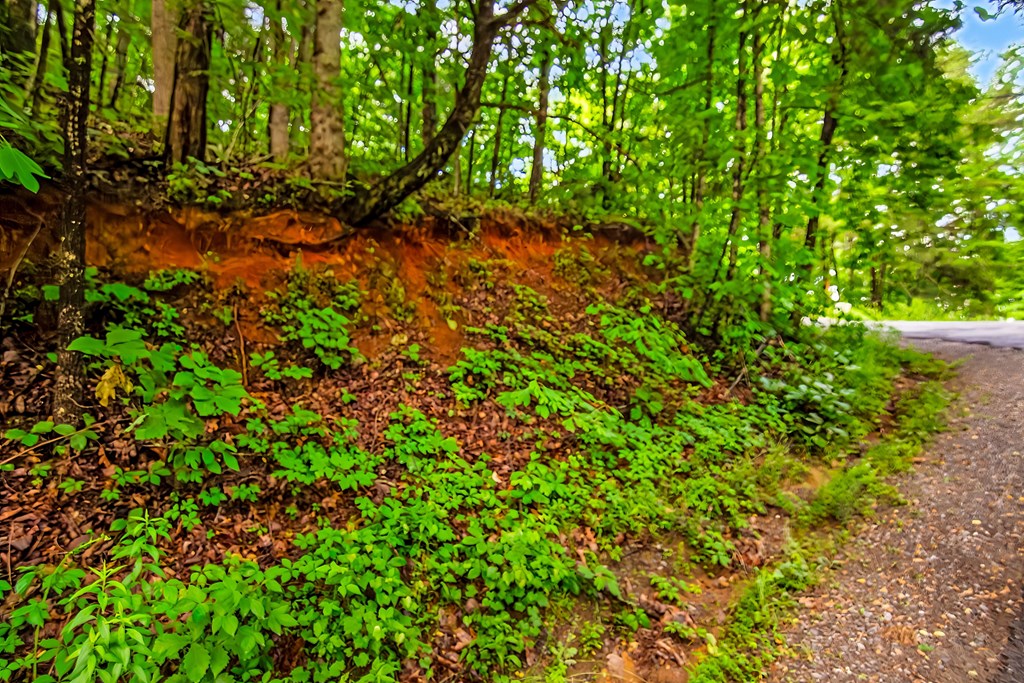 5.58 Gobbler Knob Drive