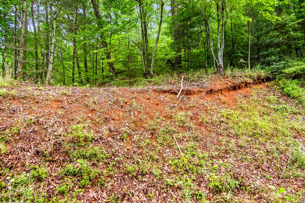 5.58 Gobbler Knob Drive