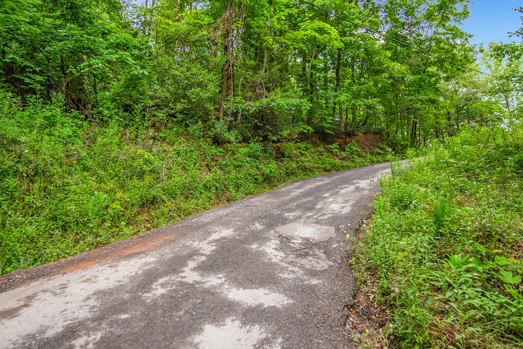 5.58 Gobbler Knob Drive