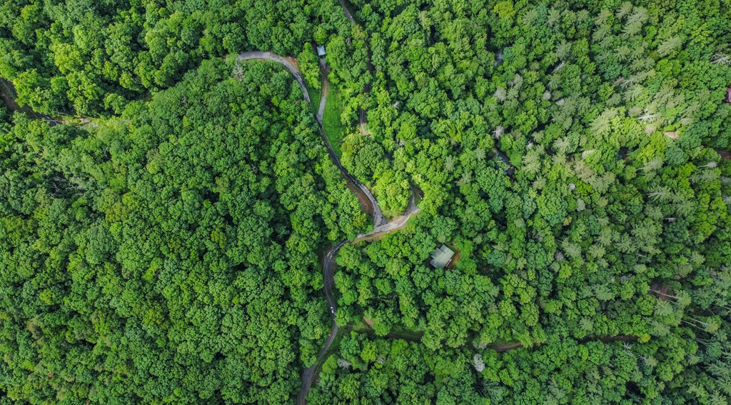 5.58 Gobbler Knob Drive