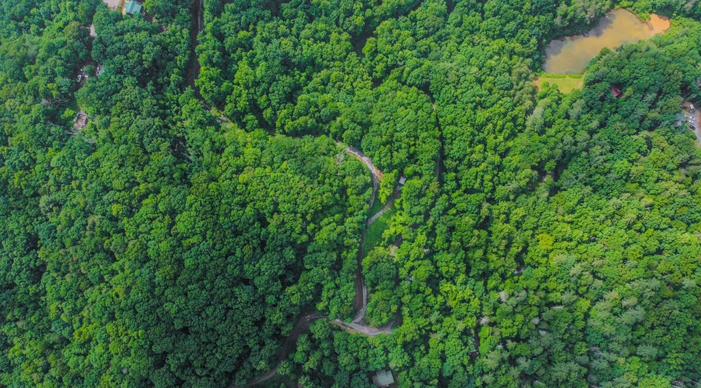 5.58 Gobbler Knob Drive