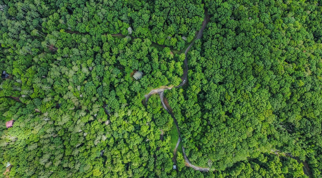 5.58 Gobbler Knob Drive