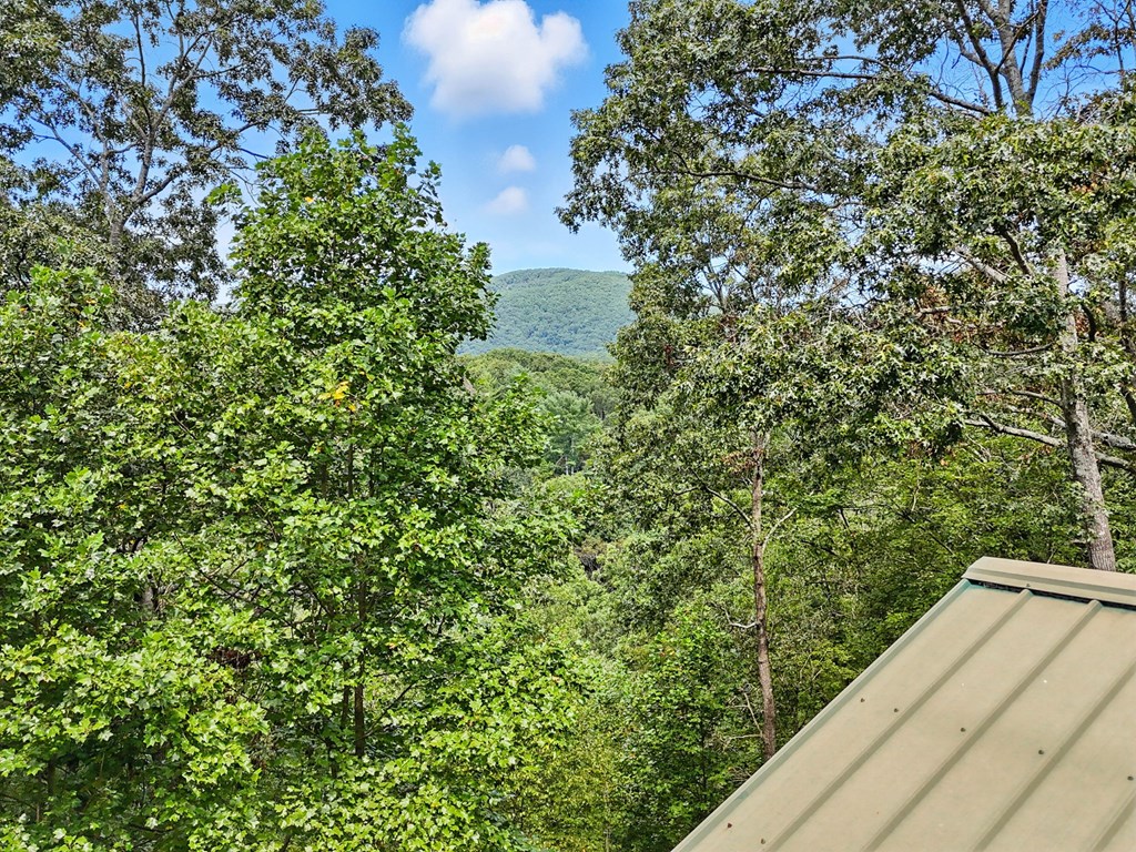 384 Mountain Laurel Drive
