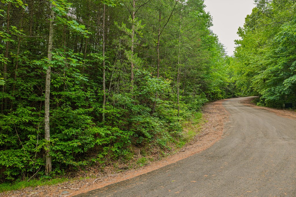 Lot 21 Aspen Avenue