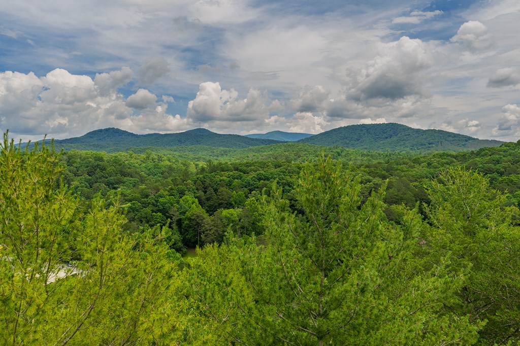 Lot 21 Aspen Avenue