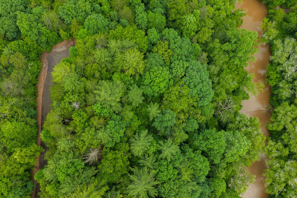 Lot 21 Aspen Avenue