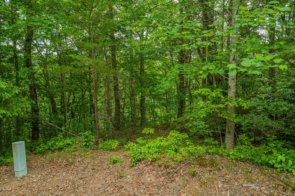 Lot 21 Aspen Avenue